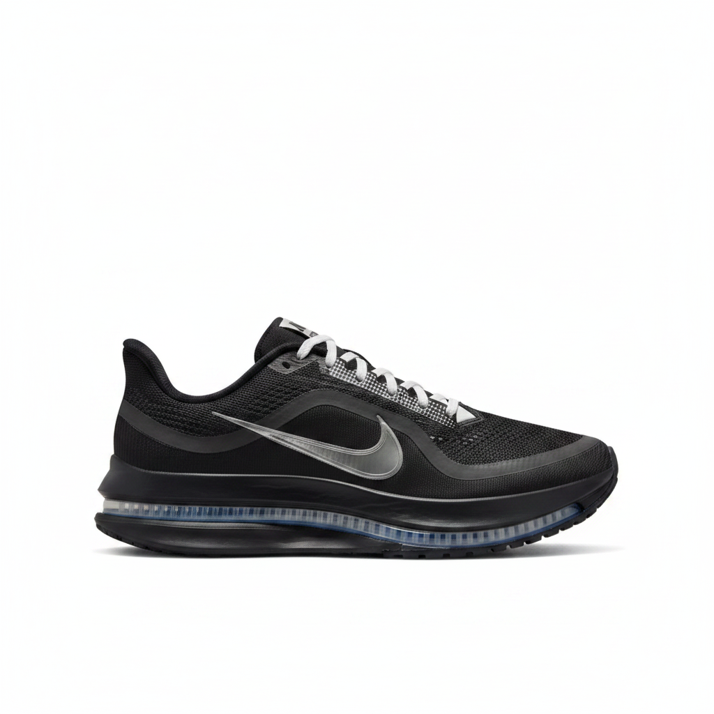 Nike Pegasus Premium SP sur fond blanc